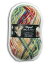 Opal 靴下用毛糸　Hundertwasser 2104