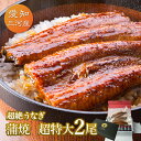 愛知三河産 超絶うなぎ蒲焼(269g-309g)×超特大2尾うなぎ 蒲焼き ギフト 父の日 母の日 敬老の日 食べ物 プレゼント 鰻 ウナギ 蒲焼 国産 国内産 お祝い 内祝い 結婚内祝い グルメ 丑の日 土用の丑の日 冷凍食品 送料無料