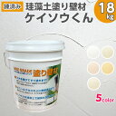 【送料無料】珪藻土壁材(練済み)漆喰珪藻土ケイソウ