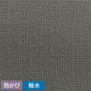 生のりつき 壁紙 (クロス)30mパック/東リ VS SVS-8047 織物調 壁紙屋本舗