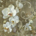 自然 花 フラワー フローラルの壁紙 輸入 カスタム壁紙 PHOTOWALL / Danhui Nai - White Orchid Square (e22248) 貼ってはがせるフリース壁紙(不織布) 【海外取り寄せのため1カ月程度でお届け】 【代引き不可】