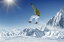自然 人物の壁紙輸入 カスタム壁紙 PHOTOWALL / Skier in the high Mountains (e23192)貼ってはがせるフリース壁紙(不織布)【海外取り寄せのため1カ月程度でお届け】【代引き不可】