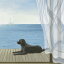 動物 アニマル アート 絵画の壁紙輸入 カスタム壁紙 PHOTOWALL / Blue Breeze 2 (e23336)貼ってはがせるフリース壁紙(不織布)【海外取り寄せのため1カ月程度でお届け】【代引き不可】