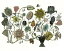アート 絵画 鳥 トリの壁紙輸入 カスタム壁紙 PHOTOWALL / Bouquet (e23500)貼ってはがせるフリース壁紙(不織布)【海外取り寄せのため1カ月程度でお届け】【代引き不可】