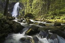 自然 森の壁紙 輸入 カスタム壁紙 PHOTOWALL / Serene Waterfall (e24714) 貼ってはがせるフリース壁紙(不織布) 【海外取り寄せのため1カ月程度でお届け】 【代引き・後払い不可】