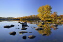 風景 景色の壁紙輸入 カスタム壁紙 PHOTOWALL / Sugar Maple by the Vermilion River (e29431)貼ってはがせるフリース壁紙(不織布)【海外取り寄せのため1カ月程度でお届け】【代引き不可】
