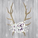アート 絵画 花 フラワー フローラルの壁紙 輸入 カスタム壁紙 PHOTOWALL / Antlers and Poppies I (e25633) 貼ってはがせるフリース壁紙(不織布) 【海外取り寄せのため1カ月程度でお届け】 【代引き不可】
