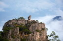 黄山 中国 山 岩 自然の壁紙 輸入 カスタム壁紙 PHOTOWALL / Huangshan Mountain (e318903) 貼ってはがせるフリース壁紙(不織布) 【海外取り寄せのため1カ月程度でお届け】 【代引き不可】