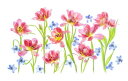 チューリップ 花 赤 イラストの壁紙 輸入 カスタム壁紙 PHOTOWALL / Spring Delight (e324504) 貼ってはがせるフリース壁紙(不織布) 【海外取り寄せのため1カ月程度でお届け】 【代引き・後払い不可】