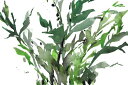 葉 植物 水彩画 緑 グリーンの壁紙 輸入 カスタム壁紙 PHOTOWALL / Just the Leaves II (e327398) 貼ってはがせるフリース壁紙(不織布) 【海外取り寄せのため1カ月程度でお届け】 【代引き・後払い不可】