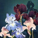 アイリス 花 イラスト アート 紫 パープルの壁紙 輸入 カスタム壁紙 PHOTOWALL / Iris Abstract (e338639) 貼ってはがせるフリース壁紙(不織布) 【海外取寄せ商品】 【代引き・後払い不可】