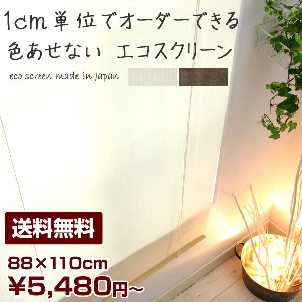 【送料無料】環境にやさしいエコスクリーン　大湖産業