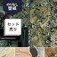 壁紙 クロス 国産壁紙 のりなし壁紙/ウォールプロ/シンコール SW2022〜SW2025 (販売単位1セット(5枚入り))