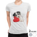 tシャツ レディース 半袖 白地 デザイン S M L XL Tシャツ ティーシャツ T shirt 002793 アニマル 犬　動物　写真