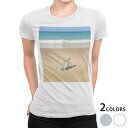 ショッピングXL tシャツ レディース 半袖 白地 デザイン S M L XL Tシャツ ティーシャツ T shirt 010532 海　砂浜　写真