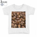 tシャツ キッズ 半袖 白地 デザイン 110 120 130 140 150 Tシャツ ティーシャツ T shirt 006194 写真 どんぐり
