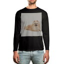 ロング tシャツ メンズ 長袖 ブラック デザイン XS S M L XL 2XL ロンT ティーシャツ 黒 black T shirt long sleeve 002911 犬 動物 写真