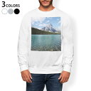 トレーナー メンズ 長袖 ホワイト グレー ブラック デザイン XS S M L XL 2XL sweatshirt trainer 白 黒 灰色 裏起毛 スウェット 003291 外国 写真 景色 風景
