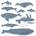 海の生物☆ シール式ウォールステッカー 魚 fish sea クジラ くじら イルカ いるか アクアリウム シャチ 飾り 30×30cm 剥がせる カッティングシート wall sticker 雑貨 016523