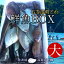 鮮魚BOX 大 宮城県石巻港産漁師の朝どれ新鮮魚ボックス 料理屋ご用達