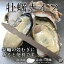 牡蠣ナイフ 1本あると便利な殻付きカキの殻むき専用ナイフ ヘラ