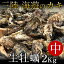 生牡蠣 殻付き 2kg 中 生食用宮城県産 漁師直送 格安生牡蠣お取り寄せ 3,780円