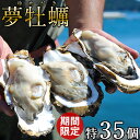 生牡蠣 殻付き 特大 夢牡蠣 35個【送料無料】生食用 生ガキ 大粒生牡蠣 特大三陸 雄勝湾(おがつ湾)漁師直送 新鮮生がき