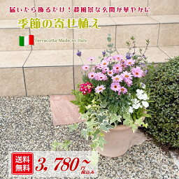 【送料無料】<strong>イタリア製</strong>テラコッタに季節の草花を寄せ植えしてお届け！