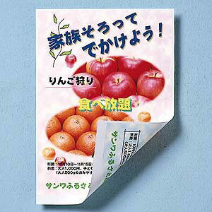 サンワサプライ【SanwaSupply】インクジェット用両面印刷紙・厚手（B4）JP-RV20AGB4★【JPRV20AGB4】5250円以上のお買い物で送料無料！（一部地域外）