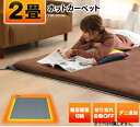 【あす楽】ホットカーペット 2畳 本体 176×176 TE...