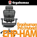 エルゴヒューマン プロ ハイブリッド(Ergohuman Pro Hybrid) オフィスチェア EHP-HAM ハイタイプ(ヘッドレスト有り)