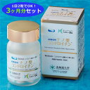 サプリメント コンドロイチン 送料無料【 3ヶ月分 62粒×3個セット 】 ( 関節に必要な栄養 ) サプリ ナノ型コンドロイチン 丸共バイオフーズ