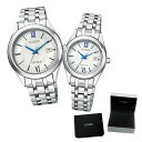 (専用ペア箱入り・クロスセット)(国内正規品)(シチズン)CITIZEN 腕時計 AW1000-51A・FE1000-51A (エクシード)EXCEED ペアモデル(チタンバンド ソーラー アナログ ペアウォッチ)(快適家電デジタルライフ)