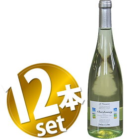 【送料無料】【12本ワインセット】レ・ヴァカンツェシャルドネ・フリッツァンテカンティーナダウトーレ750ml微発泡スパークリングワインやや辛口【ラッピング不可】【メール便不可】