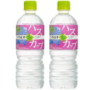 【メーカー直送】【代引不可】 【北海道限定】いろはす ハスカップ 【555ml×48本入】2箱 (コカコーラ)【ラッピング不可】