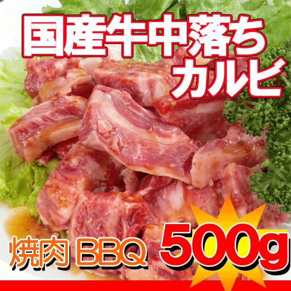 国産牛中おちカルビ500g【yo-ko0815】