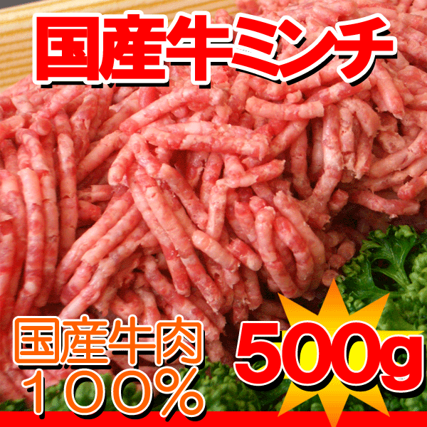 国産牛ミンチ500g【yo-ko0815】