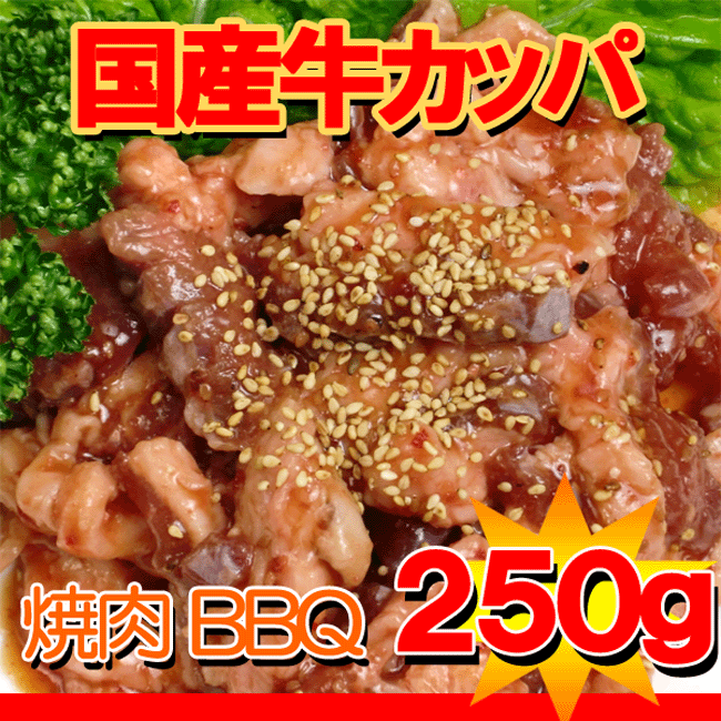 国産牛カッパ味付焼肉用250g【あす楽対応】【yo-ko0815】