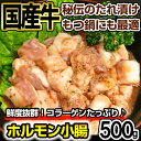 国産牛ホルモン味付け焼肉用500g【あす楽対応】【RCP】