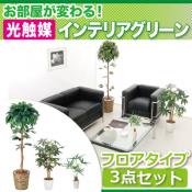 お部屋が変わる!光触媒インテリアグリーン3点セット【フロアタイプ】【代引不可】 [4営] [00]お手入れいらず＆消臭・抗菌！