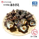 活さざえ 石川県産 小さめ 1.0kg 10~13個 詰合せ 産地直送 お取寄せ