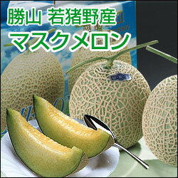 勝山　メロン　2玉入【送料無料】【2012中元】02P17Aug12