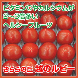 きららの丘　越のルビー【送料無料】【マラソン201207_食品】