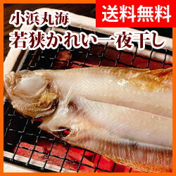 小浜丸海 若狭 かれい一夜干し（5枚入）【楽ギフ_のし】【送料無料】【福井 お土産】【父の…...:kagamiya:10000049