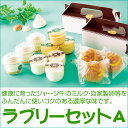 ラブリー牧場 ラブリーA セット17-5【冷蔵】【送料無料】【福井 福井県 お土産】