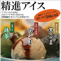 精進アイス（8個入り）【送料無料】【マラソン201207_食品】