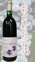 ޤǥ٥ͤζʽΤ褦ʥ磻!ðȥ磻ʥ꡼Ե٥͡˥[2008]720ml