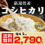 【送料無料】平成29年 新潟県産 コシヒカリ 5kg【お中元 お歳暮に大人気♪】 2,790円