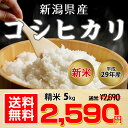 【予約受付中】【送料無料】平成29年 新潟県産 コシヒカリ 5kg【お中元 お歳暮に大人気♪】