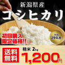 【お試し・数量限定!】【送料無料】平成29年産 新潟県産 コ...